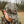 God Bless Turkeys Hat- Greenleaf